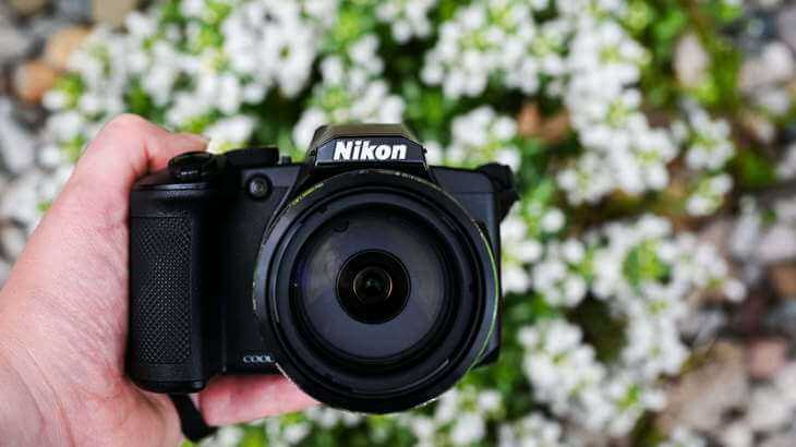 15 лучших фотоаппаратов для начинающих фотографов – рейтинг 2020