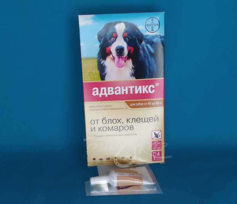 Адвантикс (bayer) капли на холку для собак более 25 кг (4 пипетки) в городе ростов-на-дону