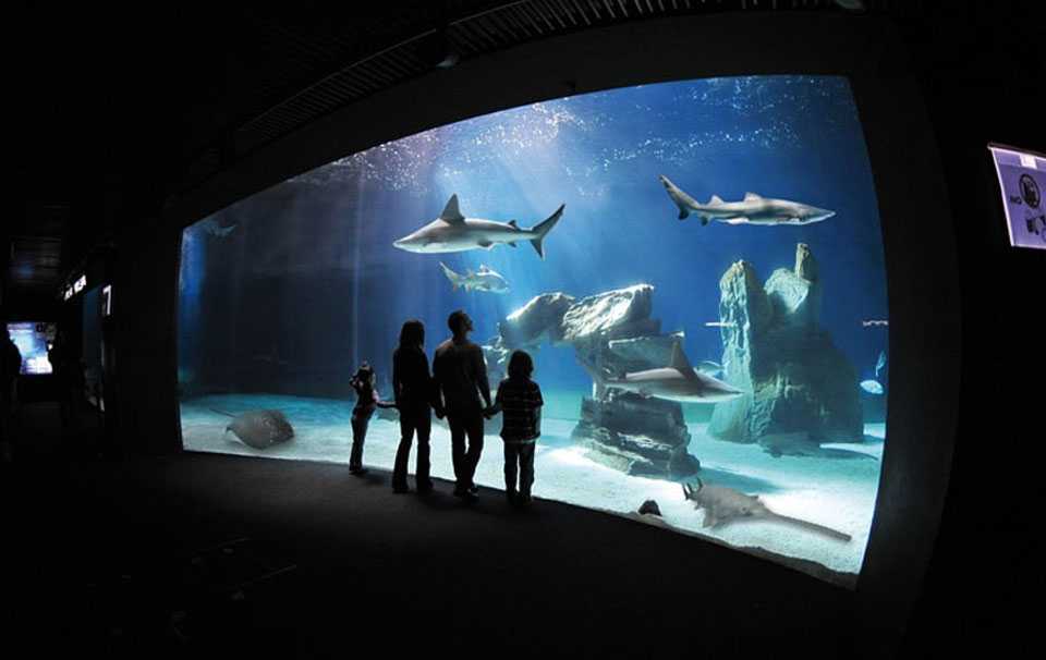 Обзор 8 лучших светильников для аквариума. рейтинг 2021 года по отзывам пользователей