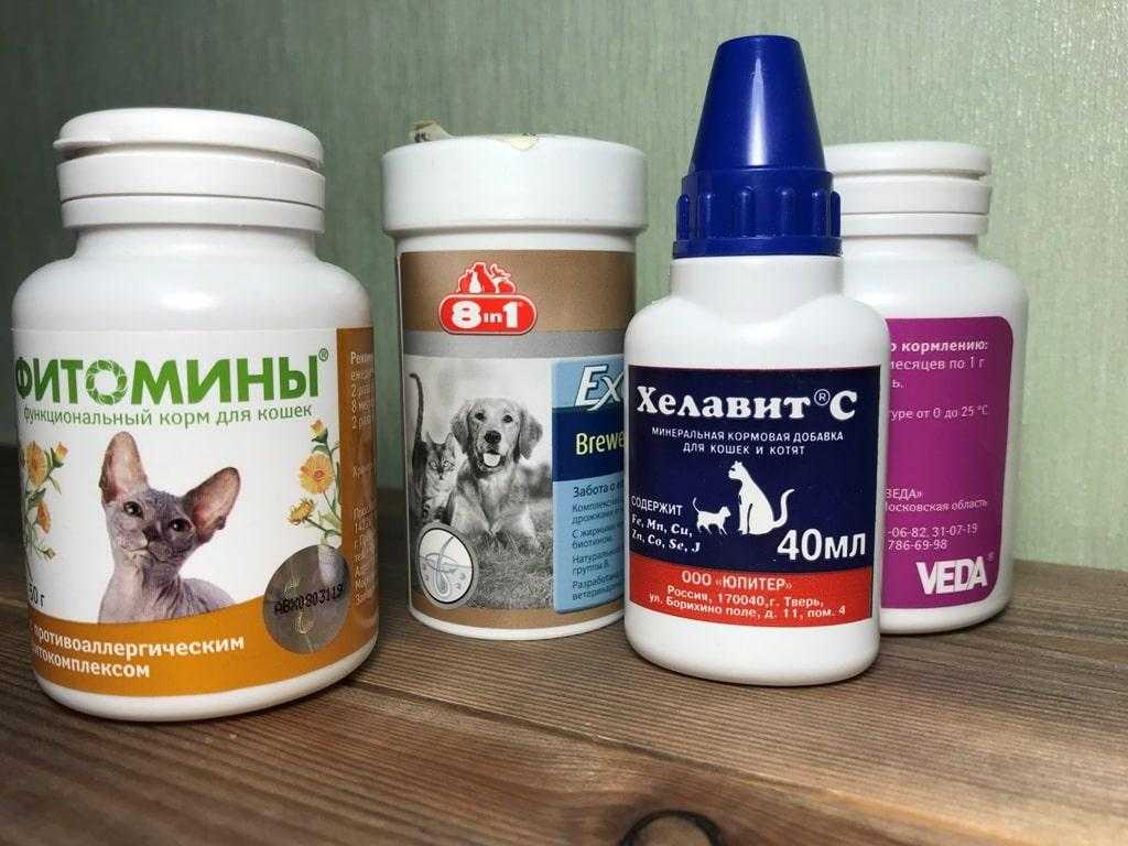 Топ-10 лучших предложений витаминов и добавок для котов и кошек на 2021 год