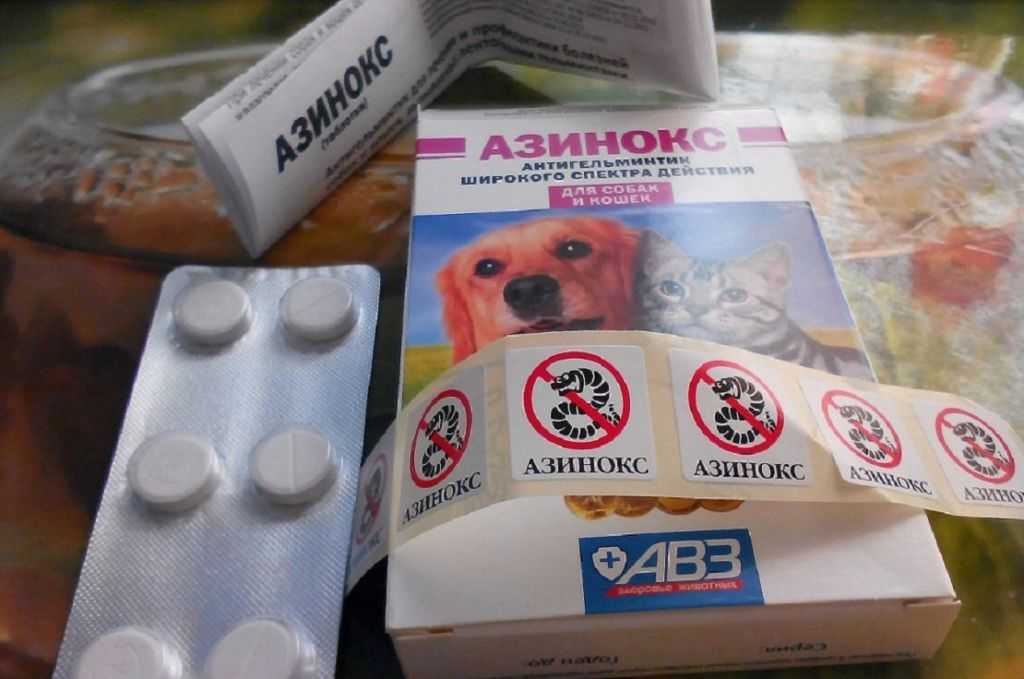 🐩обзор лучших таблеток и капель от клещей для собак на 2021 год