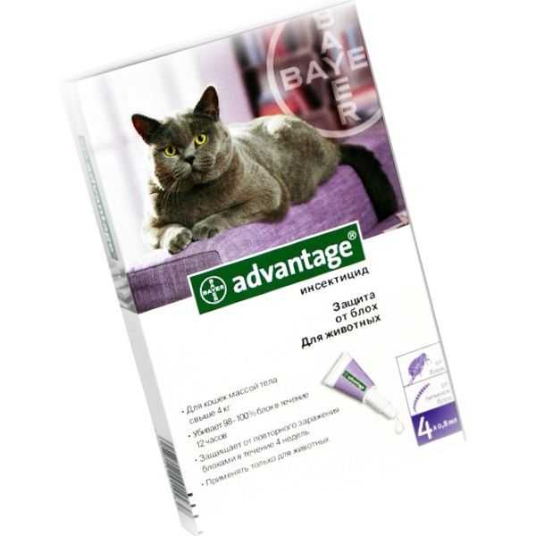 Применение препарата аdvantage (адвантейдж) для кошек