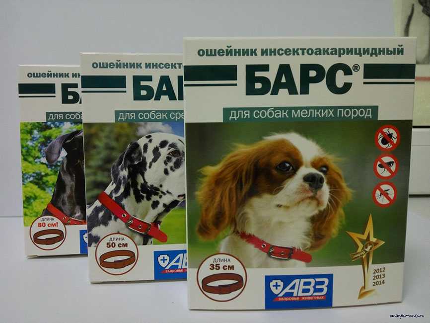 Beaphar bio band для собак и щенков 65 см, купить по акционной цене , отзывы и обзоры.