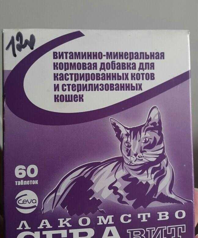 Лучший корм для кошек в 2021 году