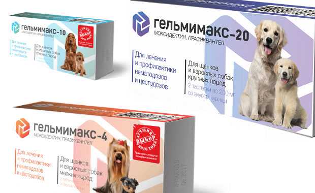 Гельмимакс для собак — инструкция, отзывы и цена