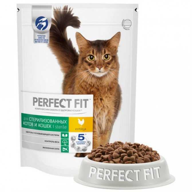Какой сухой корм для кошек самый лучший по мнению ветеринаров рейтинг 2021