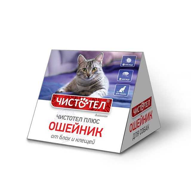 Чистотел (ошейник от блох и клещей) для собак и кошек | отзывы о применении препаратов для животных от ветеринаров и заводчиков