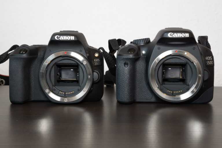 Canon eos 100d vs canon eos 2000d: в чем разница?