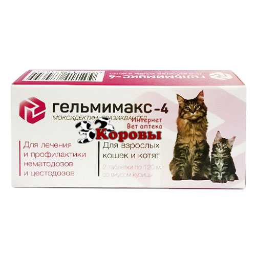 Препарат гельмимакс: надёжное средство от паразитов у кошек