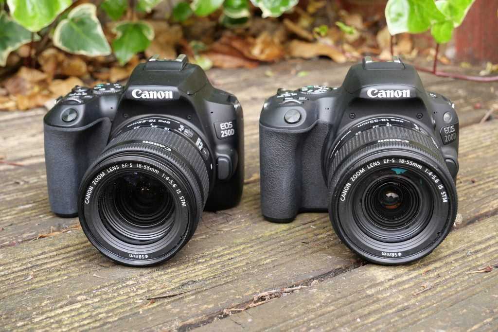 Топ-8 лучших фотоаппаратов для начинающего фотографа в 2021 году