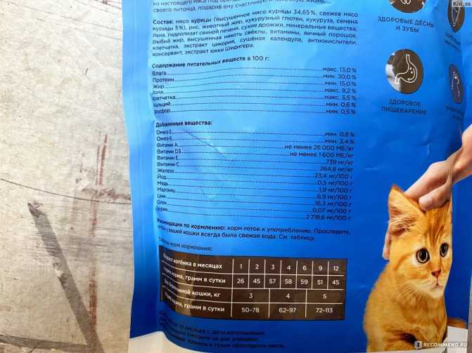 Рейтинг кормов для кошек 2021 (по качеству)