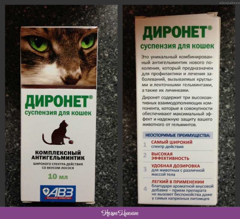 Диронет для кошек: таблетки, капли, суспензия, диронет джуниор