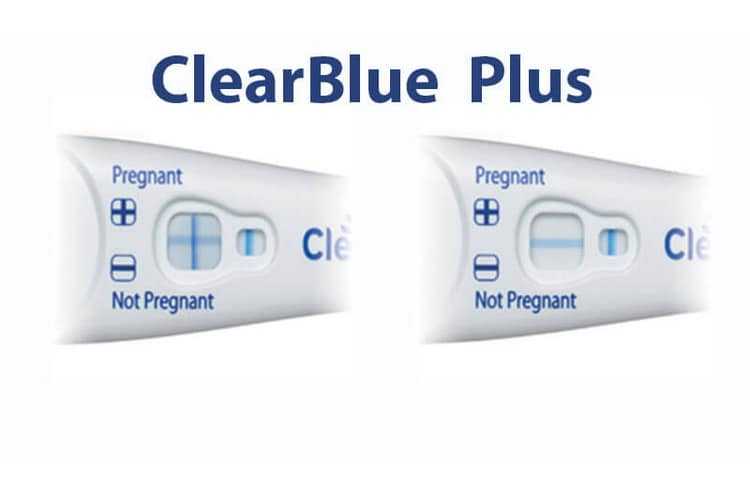 Тест на беременность clearblue – какой выбрать, как использовать