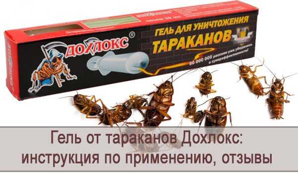 Самое эффективное средство от тараканов 2021