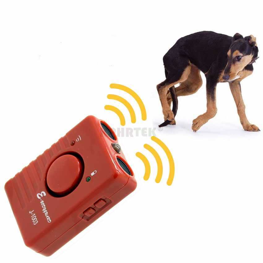 Лучшие электроошейники для собак