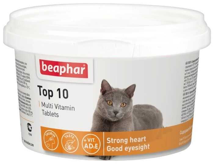 Топ-10 лучших витаминов для кошек – рейтинг 2020 года