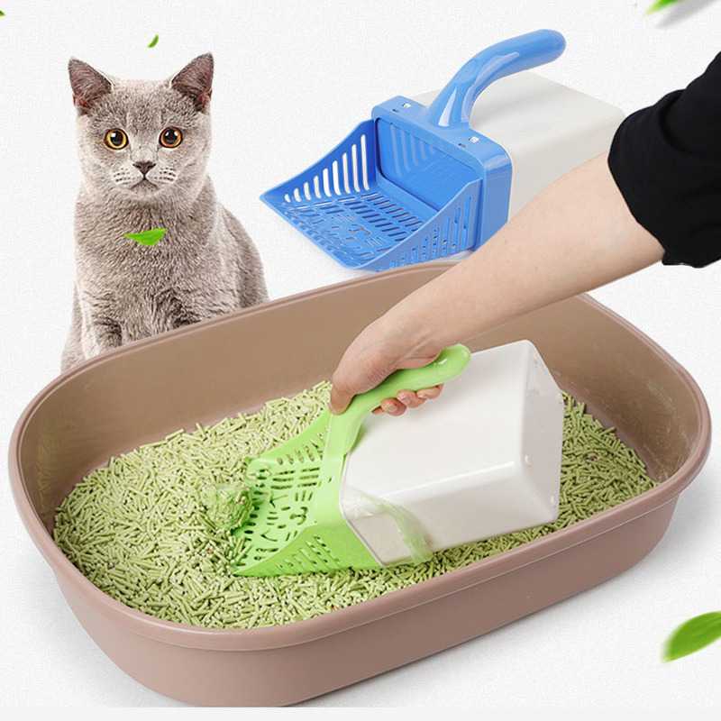 Советы по выбору лучших наполнителей для кошачьего туалета