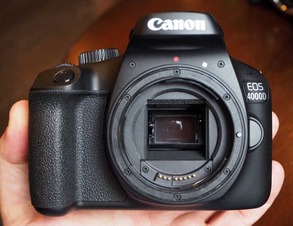 Выбор редакции
					фотоаппарат canon eos 4000d