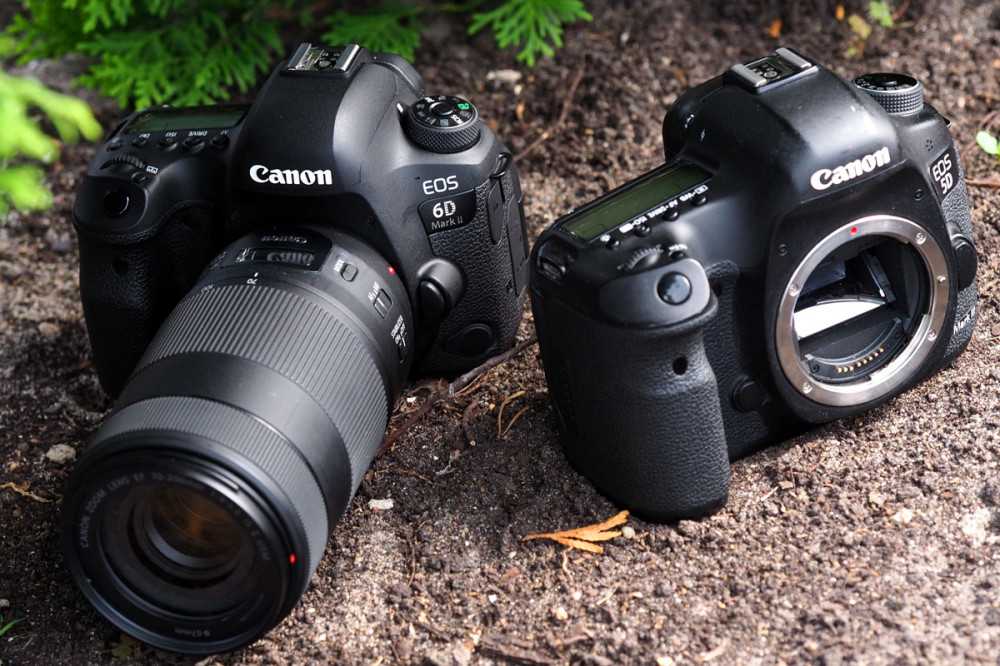 Топ-10 лучших профессиональных фотоаппаратов 2021 года в рейтинге zuzako
