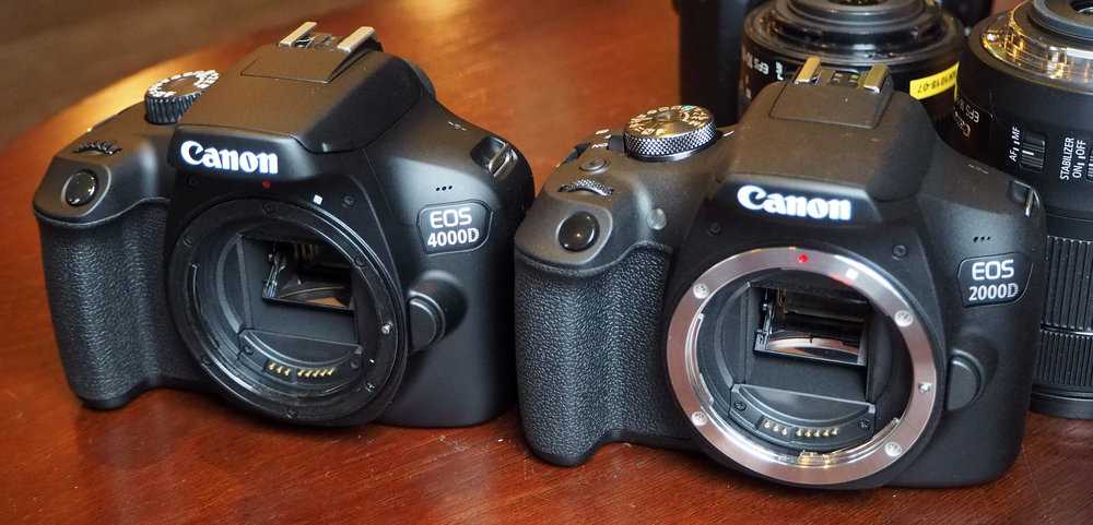 Топ-8 лучших фотоаппаратов для начинающего фотографа в 2021 году