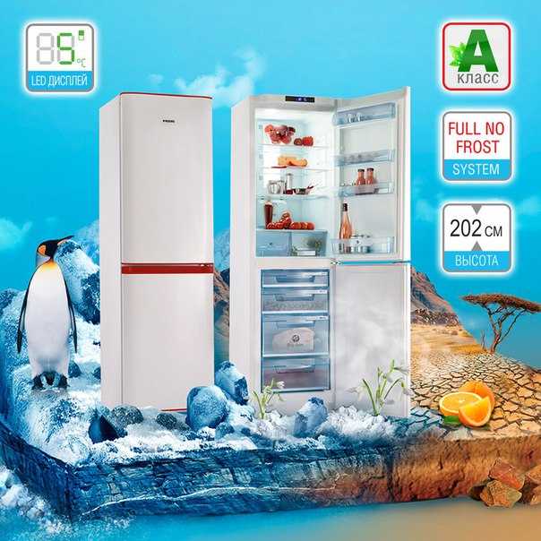 Лучшие холодильники ноу фрост - рейтинг 2021 (топ 12)