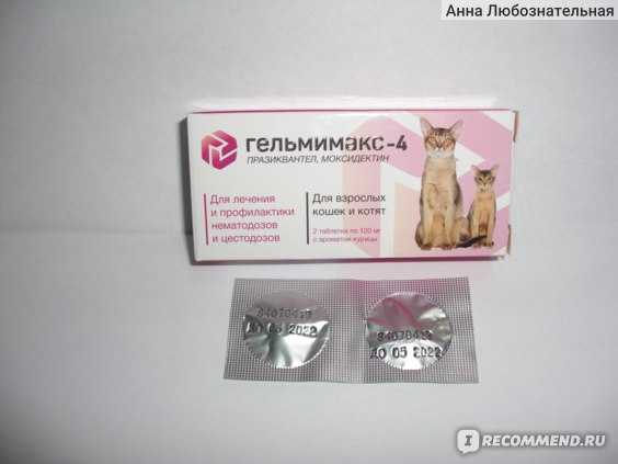 Препарат гельмимакс: надёжное средство от паразитов у кошек
