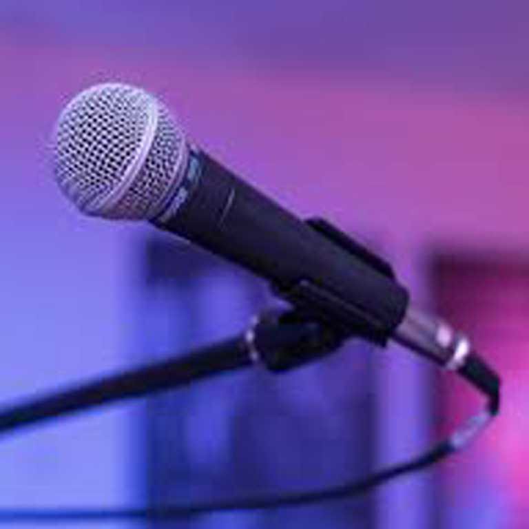 12 лучших микрофонов. Отзывы пользователей и цены на хорошие модели микрофонов этого года
