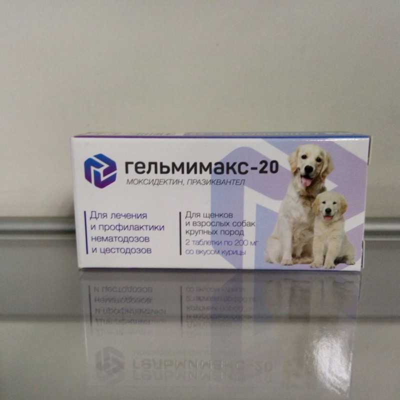 Гельмимакс для собак: инструкция по применению, особенности использования антипаразитарного препарата