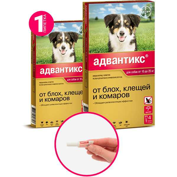 Адвантикс для собак инструкция: капли, цена, отзывы, дозировки