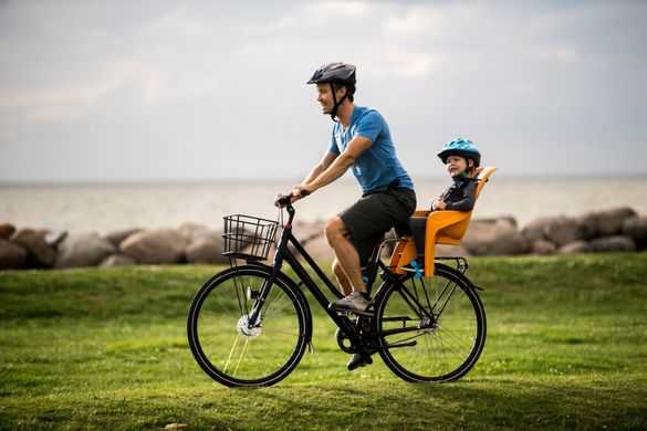 Рейтинг велокресел для детей. топ. лучшие детские велокресла (на раму, багажник). рейтинг кресел на велосипед 2021 года!