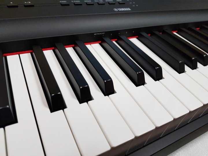 Рационально выбираем цифровое пианино. рейтинг 2021 / блоги экспертов на сайте росконтроль.рф