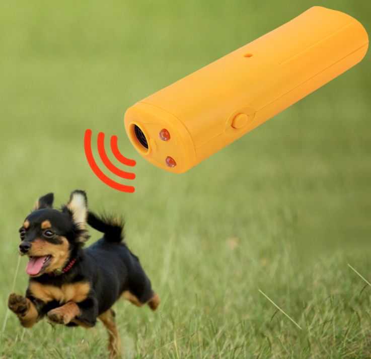 Самые мощные ультразвуковые отпугиватели собак: топ-10