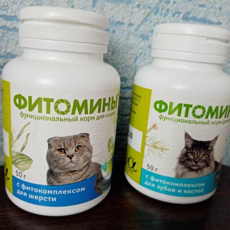 Лучшие витамины для кошек и котов на 2021 год с достоинствами и недостатками