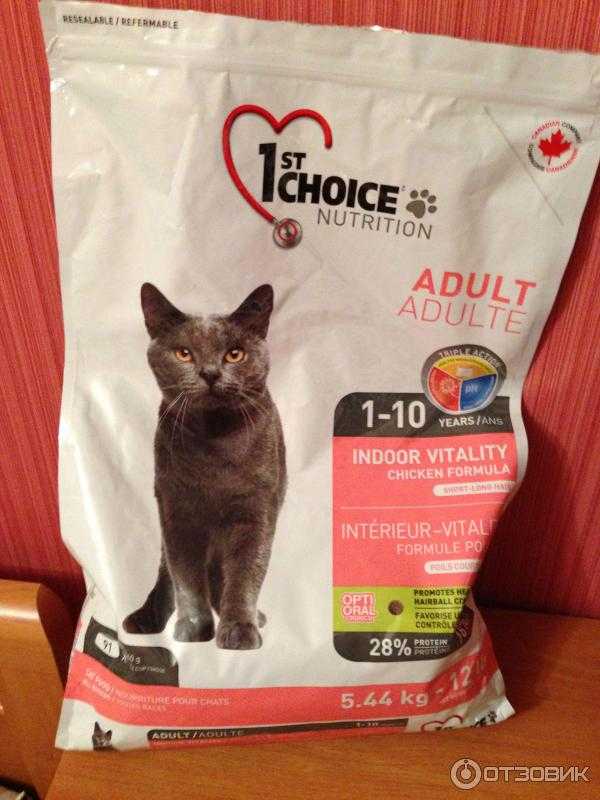 Корм 1st choice (фест чойс) для кошек: плюсы и минусы, отзывы ветеринаров