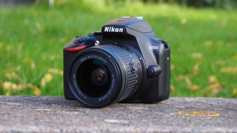 Топ-10 зеркальных фотоаппаратов для начинающих от canon и nikon