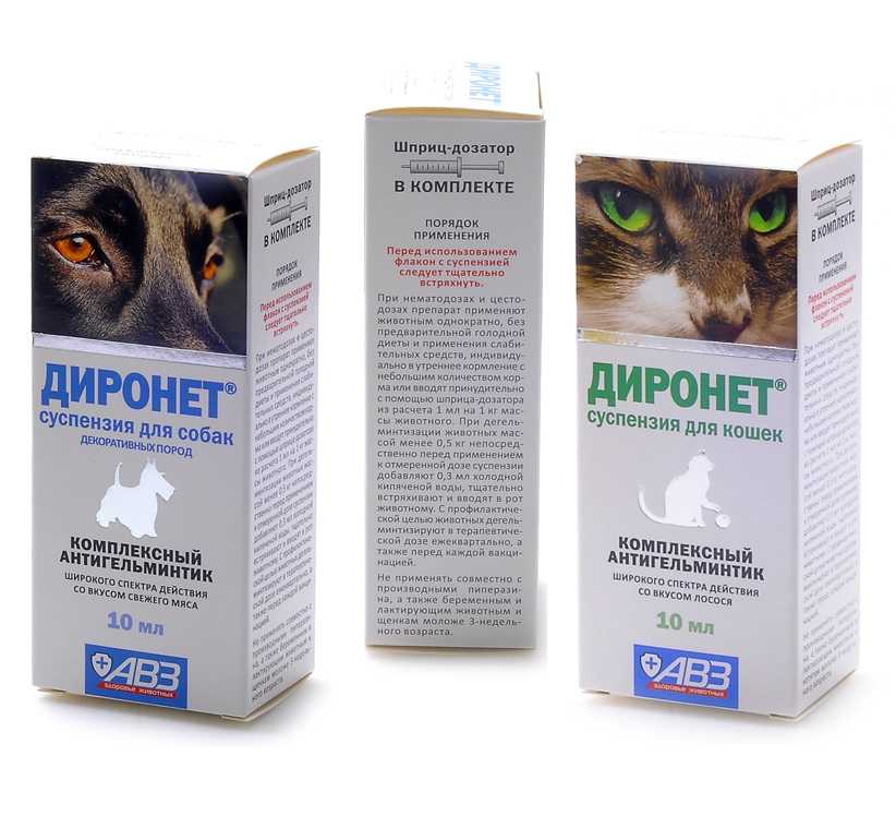 Обзор и технические характеристики Агроветзащита Диронет 200 таблетки для кошек и котят. 4 отзыва и рейтинг реальных пользователей о Агроветзащита Диронет 200 таблетки для кошек и котят. Достоинства, недостатки, комментарии.