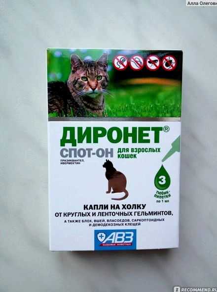 Агроветзащита диронет 200 таблетки для кошек и котят, купить по акционной цене , отзывы и обзоры.