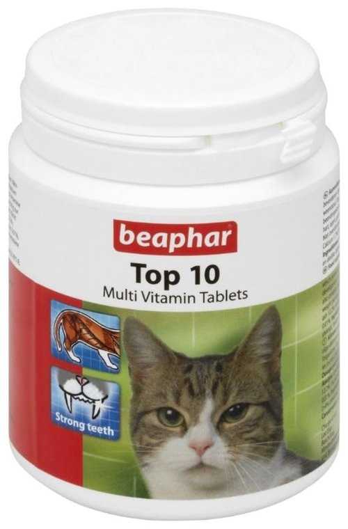Лучшие витамины для кошек и котов на 2021 год с достоинствами и недостатками
