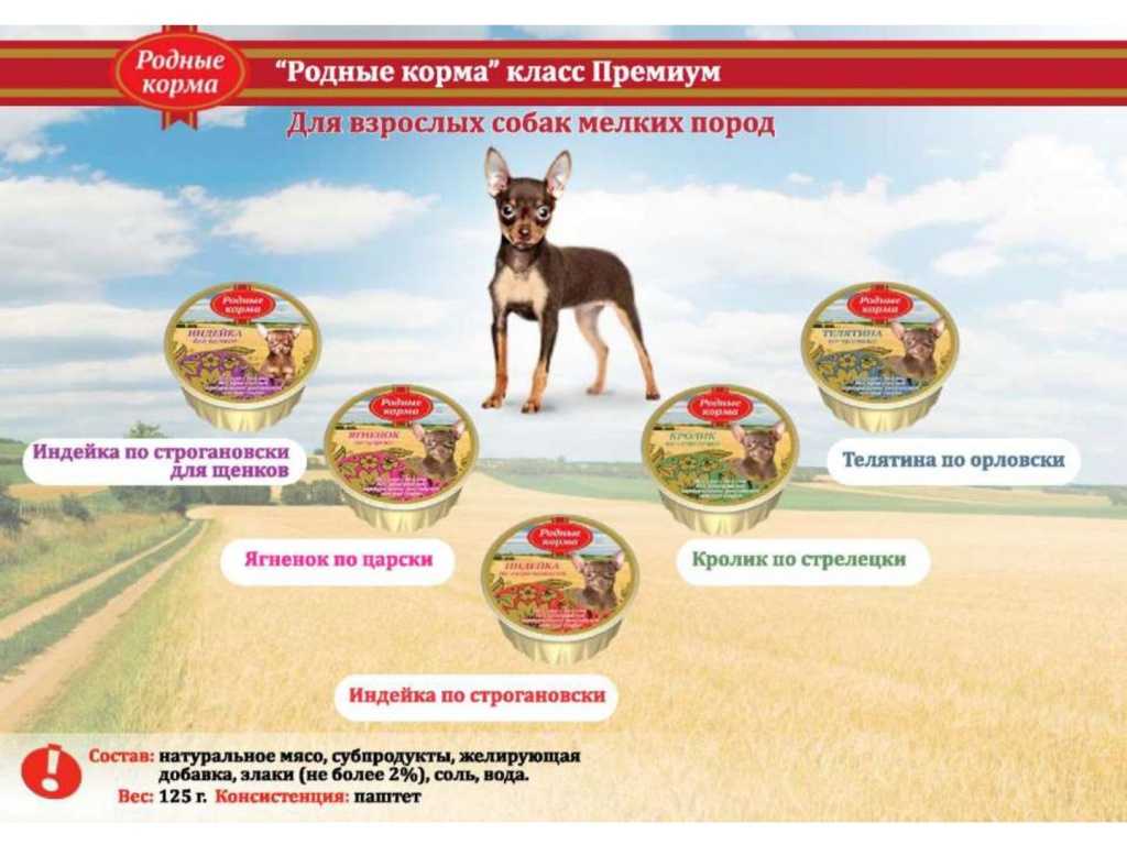Лучший сухой корм 2021 года для собак разных пород  — рекомендации  ветеринаров