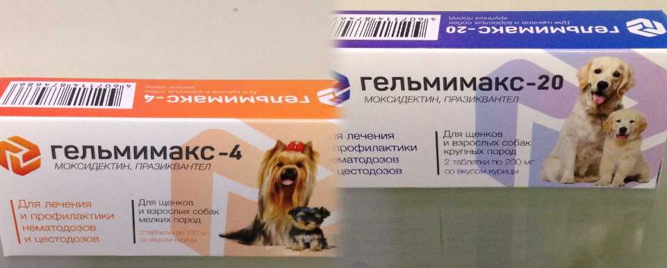 ᐉ гельмимакс для собак — инструкция, отзывы и цена - ➡ motildazoo.ru