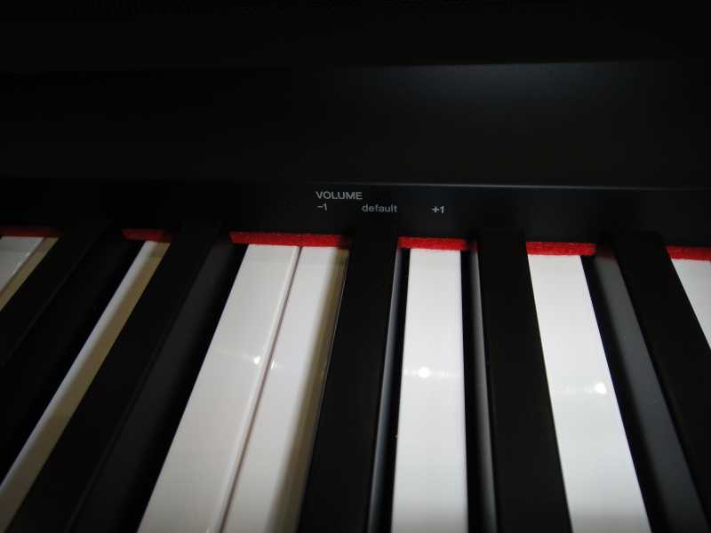 Лучшие цифровые пианино на 2021 год