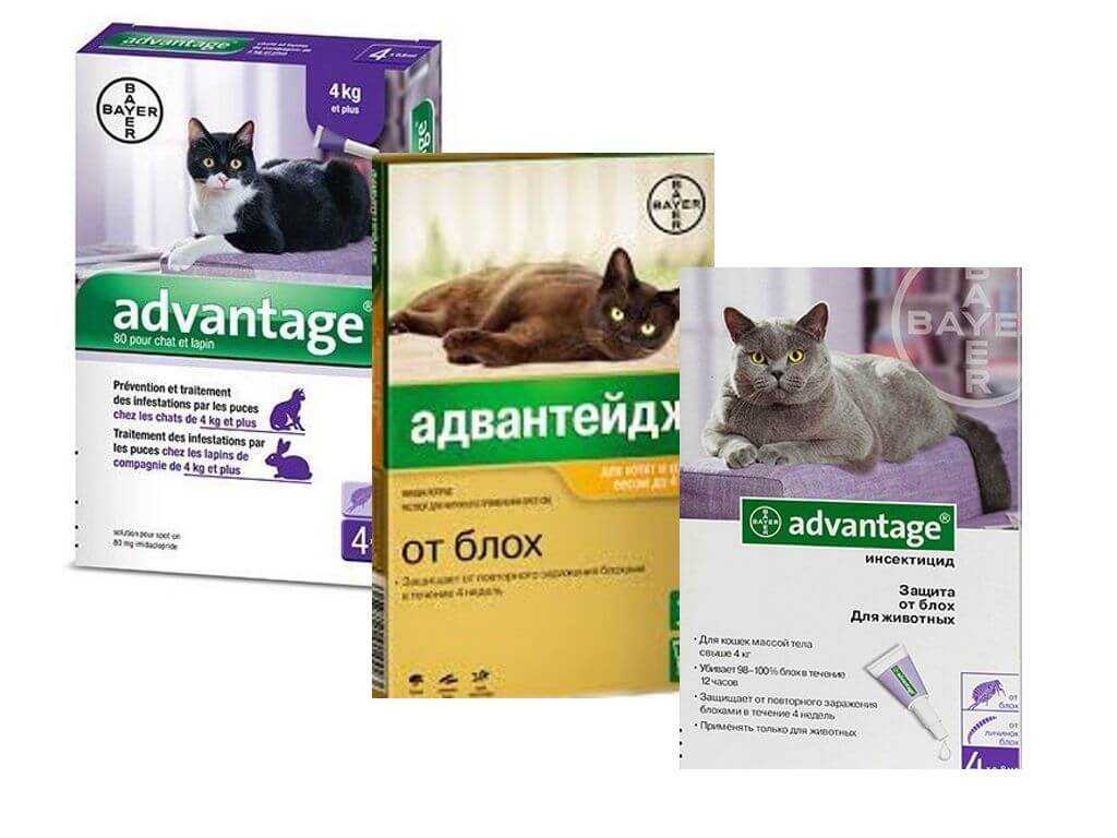 Обзор и технические характеристики Bayer Адвантейдж для крупных кошек. 7 отзывов и рейтинг реальных пользователей о Bayer Адвантейдж для крупных кошек. Достоинства, недостатки, комментарии.