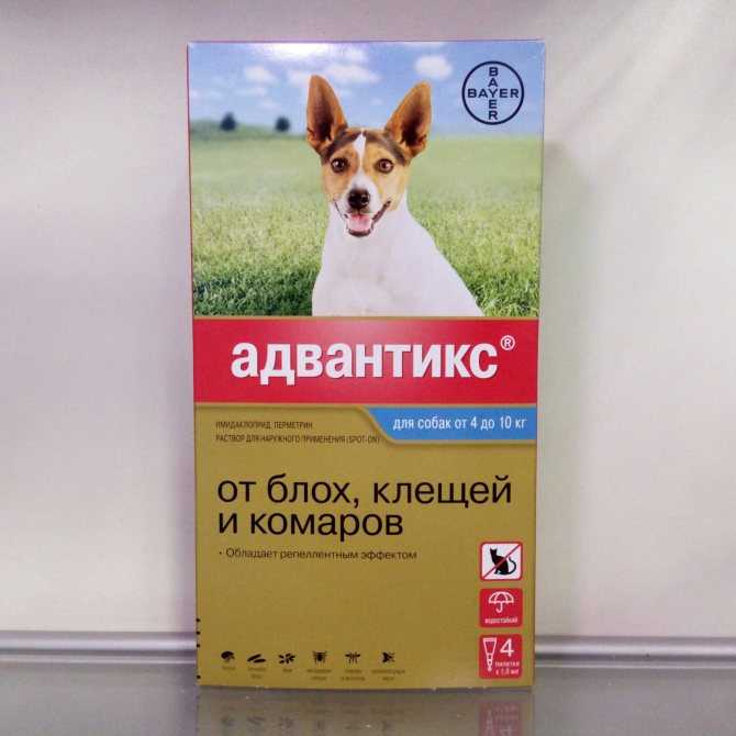 Адвантикс (bayer) капли на холку для собак более 25 кг (4 пипетки) в г.  ростов-на-дону, купить по акционной цене , отзывы и обзоры.