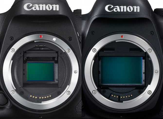 Canon eos 5d mark ii vs canon eos 7d: в чем разница?