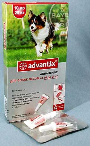 Адвантикс (bayer) капли на холку для собак более 25 кг (4 пипетки) в г.  ростов-на-дону, купить по акционной цене , отзывы и обзоры.