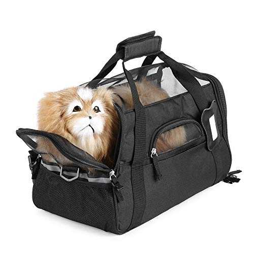 Топ лучших сумок-переносок для собак мелких пород и кошек - какую выбрать?