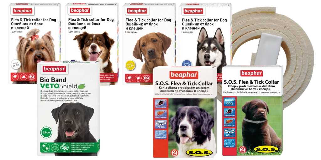Обзор и технические характеристики  Beaphar для собак 65 см. 4 отзыва и рейтинг реальных пользователей о  Beaphar для собак 65 см. Достоинства, недостатки, комментарии.