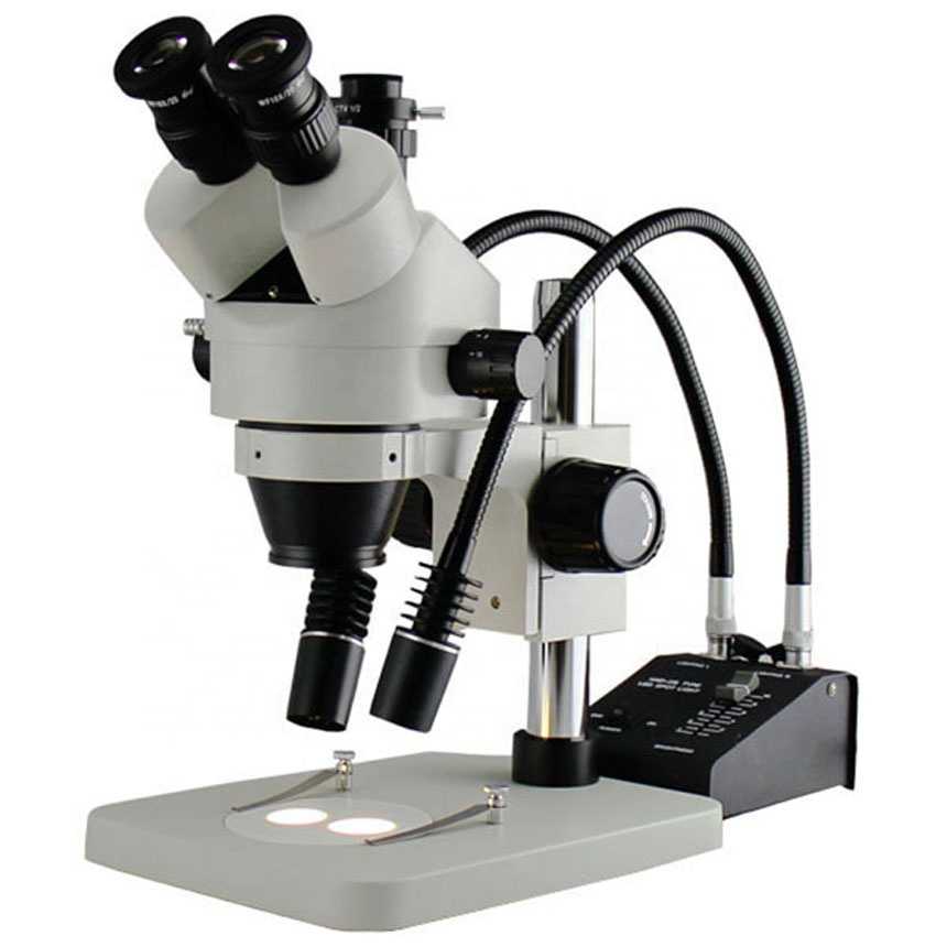 Топ-7 лучших микроскопов для школьников: какой купить, плюсы и минусы, отзывы, цена