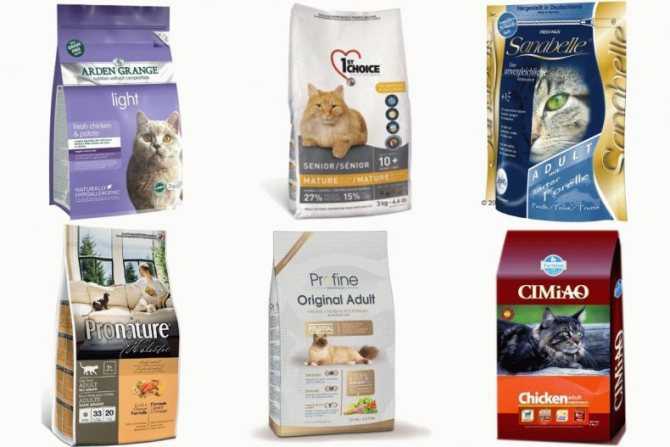 Независимый рейтинг 4 лучших сухих кормов для котят 2020 года. В списке представлены сухие корма для котят выбранные по отзывам покупателей, мнениям экспертов, обзорам и рекомендациям специалистов.