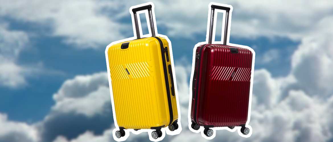 20 лучших производителей чемоданов